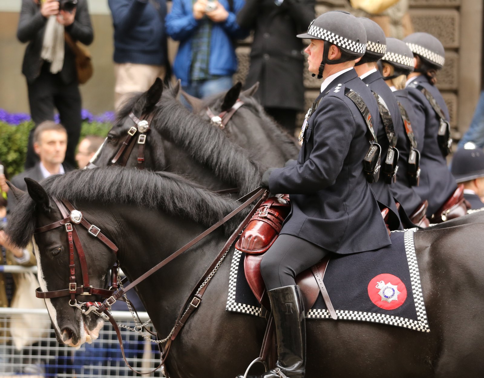 Addressing Safety Concerns: ⁢Best⁣ Practices‌ for ‌Administering CBD ‌to Police Horses