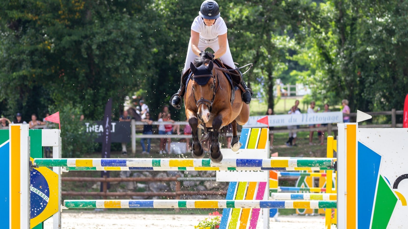 3.⁣ Elevate Your Show Horse's Performance: Expert Tips for Incorporating CBD