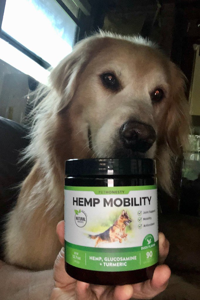 Frequently Asked Questions About Pet CBD