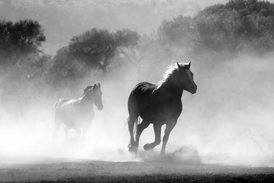 Exploring​ Sustainable Practices for Equine ⁢CBD Manufacturers