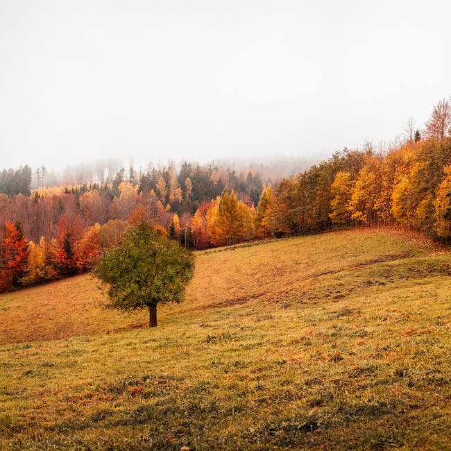 Understanding Seasonal Ailments and Their Impact on Well-being