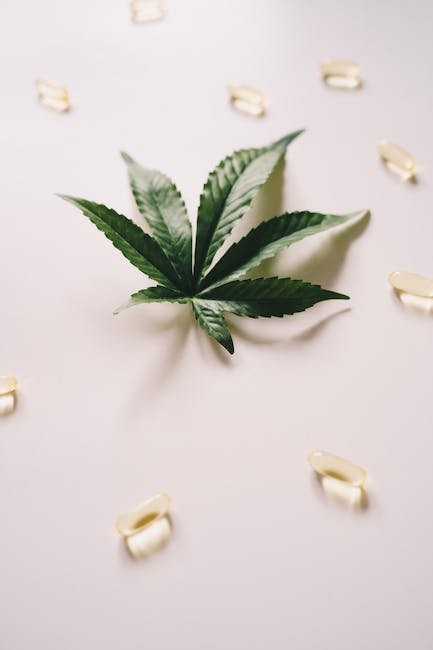 CBD Capsules for Pets: Are They Effective?