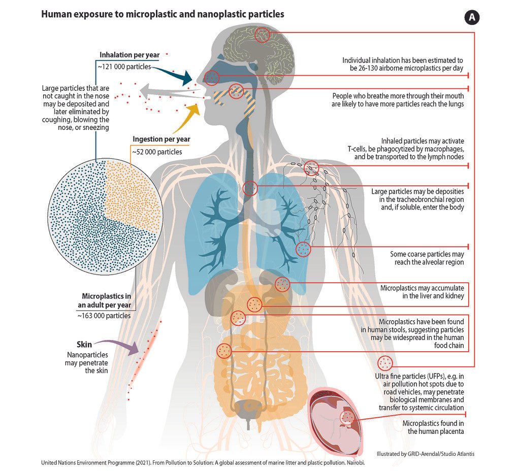 The Science of Oxidative Stress: Understanding its Impact on Health