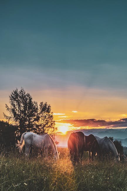 Understanding the Gut-Brain Connection in Horses