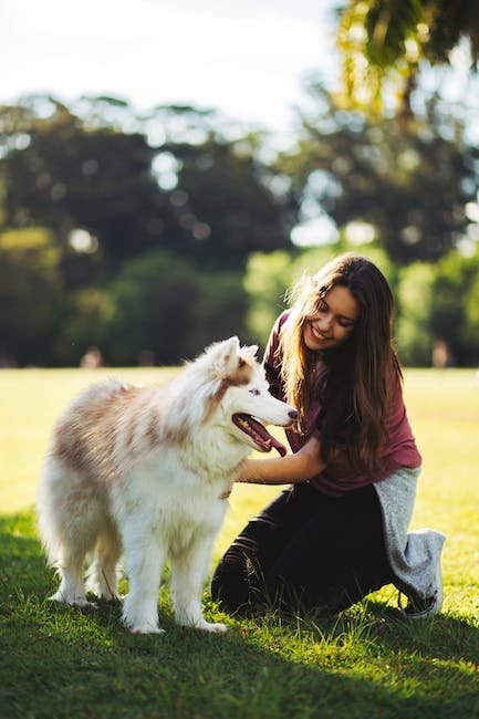 Promoting Comfort and Soothing Relief for Your Furry Friend