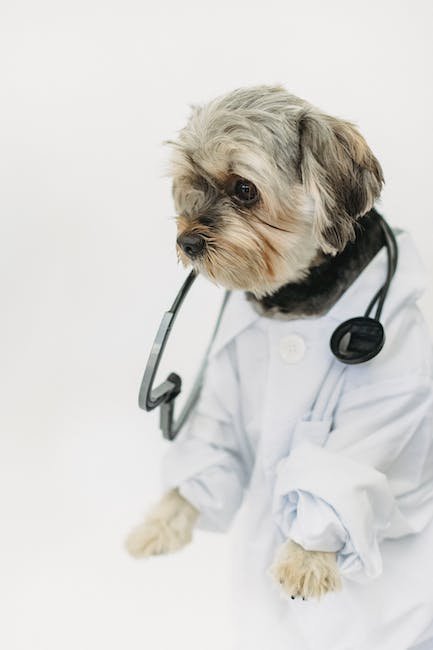 The ‌Future of Canine ​Healthcare: A CBD ‍Perspective