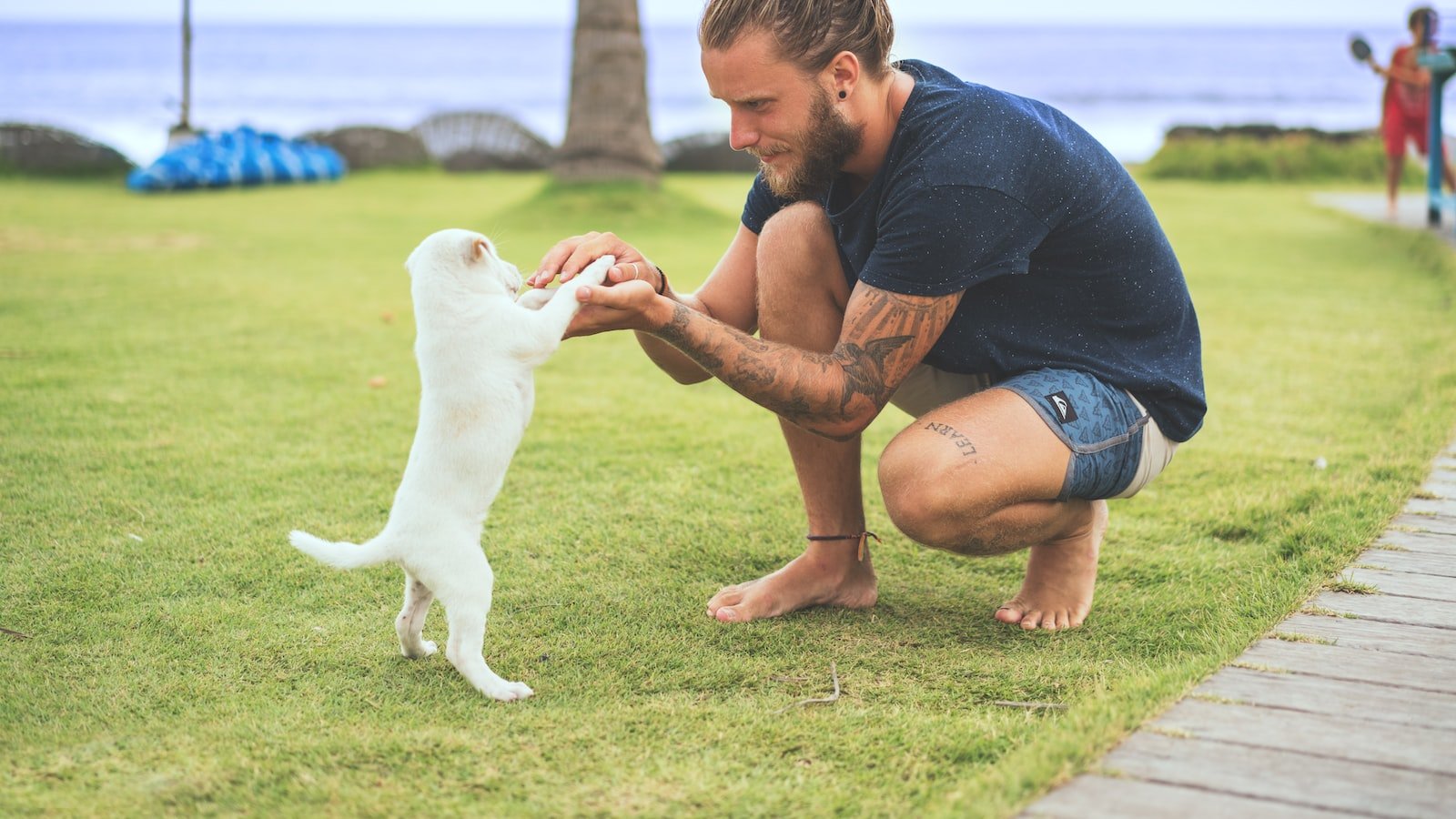 Unique⁢ Challenges ⁣Faced by Pet Owners with⁢ Rare Conditions