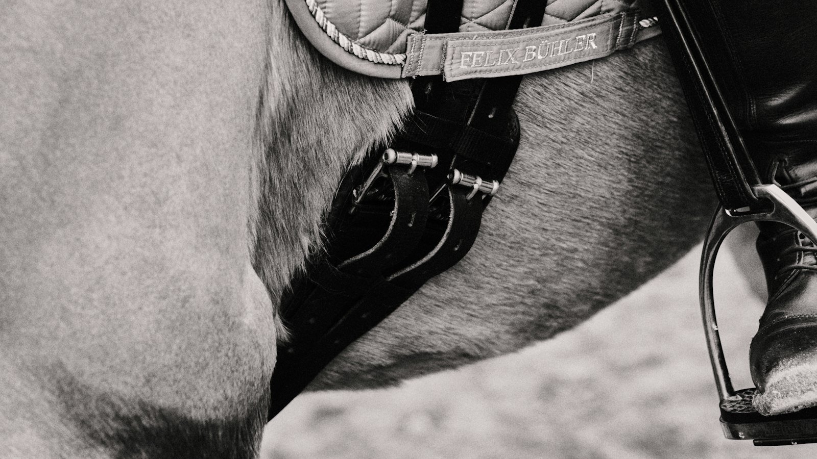 Dosage⁣ and Administration: Best Practices for Horses